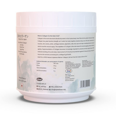 https://cdn.shopify.com/s/files/1/1857/6931/files/NC8Si5zVjc.png?v=1728475374